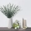 Tiyard 12pcs Eucalyptus Stems 18" Tall Artificial Eucalyptus Leaves Greenery Decor Faux Eucalyptus Real Touch For Wedding Bouquet Centerpiece Home Decor -Green Leaf Store 41xaIrrVcJL