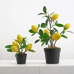 UNIE Artificial Lemon Topiary Mini Tree Potted Fake Plants In Pot For Home Office Decorations 11 UNIE Artificial Lemon Topiary Mini Tree Potted Fake Plants In Pot For Home Office Decorations -Green Leaf Store 41yZcUiL6FL