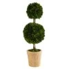 2.5ft. Preserved Boxwood Double Ball Topiary Tree In Decorative Planter (T1001) -Green Leaf Store 41yomFyhJqL