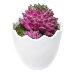 Myartte Artificial Succulent Plants Fake Succulents Mini Faux Plants For Home/Office Docor (Resin Pots) … -Green Leaf Store 41z8g4lyNYL