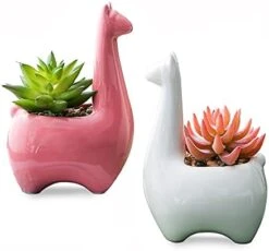 Tenforie Artificial Plant Pots, Ceramic Potted Artificial Succulent Decoration Alpaca Fake Plant Home Decor Tabletop Office Desk Outdoor Decoration - A 13 Tenforie Artificial Plant Pots, Ceramic Potted Artificial Succulent Decoration Alpaca Fake Plant Home Decor Tabletop Office Desk Outdoor Decoration - A -Green Leaf Store 41z9tI7qDNS. AC