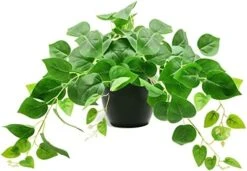 Tiita 2 Pack Fake Plants Artificial Scindapsus Aureus In Pots, Realistic Fake Greenery Potted Plants For Home Office Desk Window Sill Bathroom Bedroom Outdoor Indoor -Green Leaf Store 41zV2XZ IoL. AC