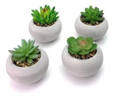 Artificial Succulent Plants In Cement Pots, Set Of 4 - Realistic Faux Potted Plant For Home, Apartment, Or Office - Decorative Fake Succulents - For Desk, Bookshelf, Or Kitchen