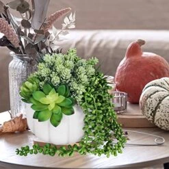 White Fall Pumpkin Centerpiece Artificial Succulent Pumpkin Arrangement With Assorted String Of Pearls Succulents For Fall Thanksgiving Gifts Home Wedding Table Mantel Windowsill Shelf Decor 12 White Fall Pumpkin Centerpiece Artificial Succulent Pumpkin Arrangement With Assorted String Of Pearls Succulents For Fall Thanksgiving Gifts Home Wedding Table Mantel Windowsill Shelf Decor -Green Leaf Store 5102H7imAPL