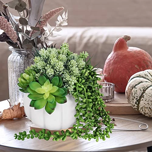 White Fall Pumpkin Centerpiece Artificial Succulent Pumpkin Arrangement With Assorted String Of Pearls Succulents For Fall Thanksgiving Gifts Home Wedding Table Mantel Windowsill Shelf Decor 5 White Fall Pumpkin Centerpiece Artificial Succulent Pumpkin Arrangement With Assorted String Of Pearls Succulents For Fall Thanksgiving Gifts Home Wedding Table Mantel Windowsill Shelf Decor - Image 5