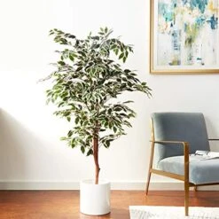 Artificial Ficus Tree With Variegated Leaves And Natural Trunk, Beautiful Fake Plant For Indoor-Outdoor Home Décor-5 Ft. Tall Topiary By Pure Garden -Green Leaf Store 5105SfoOYaL