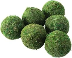 10Pack Decorative Faux Dried Moss Balls And 8Pack Wicker Rattan Balls- Artificial Green Plant Mossy Wicker Rattan Cord Balls Set For Summer Vase Dough Bowl Filler Home Garden Party Wedding Display 11 10Pack Decorative Faux Dried Moss Balls And 8Pack Wicker Rattan Balls- Artificial Green Plant Mossy Wicker Rattan Cord Balls Set For Summer Vase Dough Bowl Filler Home Garden Party Wedding Display -Green Leaf Store 510Awn4d3sL. AC