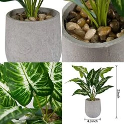 Der Rose 16'' Fake Plants Artificial Potted Greenery Faux Plants For Office Desk Home Bathroom Decor 5 Der Rose 16'' Fake Plants Artificial Potted Greenery Faux Plants For Office Desk Home Bathroom Decor -Green Leaf Store 510UkNUNKhS