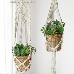 Winlyn 20 Pcs Assorted Artificial Succulents Plants Unpotted Small Green Cactus Echeveria Air Plant Picks Fake Succulents Bulk For Succulent Garden Wreath Floral Arrangement Indoor Outdoor Home Decor -Green Leaf Store 510jRm93X1L