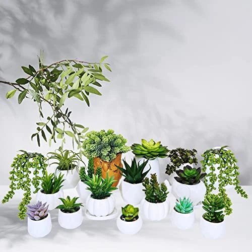 Winlyn 19 Pcs Assorted Artificial Succulents Plants Unpotted Small Green Hanging Succulent Aloe Fake Cacti Succulents Bulk For Succulent Garden Centerpiece Wreath Arrangement Indoor Outdoor Home Decor 5 Winlyn 19 Pcs Assorted Artificial Succulents Plants Unpotted Small Green Hanging Succulent Aloe Fake Cacti Succulents Bulk For Succulent Garden Centerpiece Wreath Arrangement Indoor Outdoor Home Decor - Image 5
