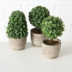 WHW Whole House Worlds Realistic Faux Boxwood Sculptural Topiary, Set Of 3, Curly Leaf, Cone And Ball Tops, Gray Stone Pot, Each 5.5 Inches Tall, Mixed Materials -Green Leaf Store 510r2cDp3lL