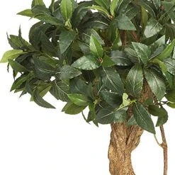 Nearly Natural 5233 Sweet Bay Double Ball Topiary Silk Tree, 4-Feet, Green,49.5" X 9" X 9" -Green Leaf Store 510xbJQjNDL