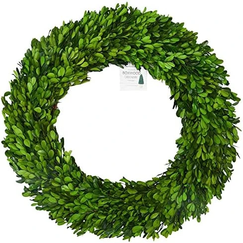 BoxwoodValley Preserved Boxwood Wreath 16 Inch Year Round Green Wreath For Halloween, Christmas Wreath Decor Green Garland For Indoor Green Autumn Wreath Decor (16 Inch) 11 BoxwoodValley Preserved Boxwood Wreath 16 Inch Year Round Green Wreath For Halloween, Christmas Wreath Decor Green Garland For Indoor Green Autumn Wreath Decor (16 Inch) - Image 11