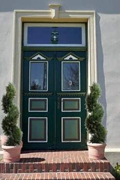 3 Foot Topiary Tree Artificial Plants Cypress Leave Spiral Plant Faux Fake Spiral Trees For Decor In Plastic Pot Green, 35Inchs- Set Of 2 -Green Leaf Store 5118QTpS5WL