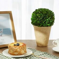 Boxwoodworld Preserved Boxwood Green Plant For Home Decor Classic Ball On Pot Design 10 Inch Hight (boxwood Leaves) 14 Boxwoodworld Preserved Boxwood Green Plant For Home Decor Classic Ball On Pot Design 10 Inch Hight (boxwood Leaves) -Green Leaf Store 511EoKzfivL