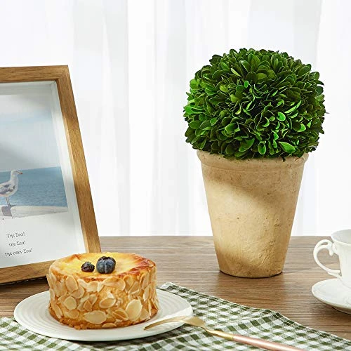 Boxwoodworld Preserved Boxwood Green Plant For Home Decor Classic Ball On Pot Design 10 Inch Hight (boxwood Leaves) 4 Boxwoodworld Preserved Boxwood Green Plant For Home Decor Classic Ball On Pot Design 10 Inch Hight (boxwood Leaves) - Image 4