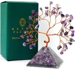Handcrafted Healing Crystal Trees (Set Of 12), Bonsai Tree For Positive Energy & Chakra Balance, Feng Shui Tree Of Life, Perfect Home/Desk Decor, Reiki Good Luck Crystal Gifts By KarmaPledge -Green Leaf Store 511MSzzl9kL. AC