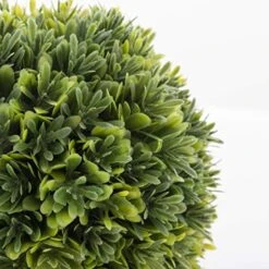 Torre & Tagus 901837 Jardin Topiary Boxwood Ball, 10-Inch 7 Torre & Tagus 901837 Jardin Topiary Boxwood Ball, 10-Inch -Green Leaf Store 512CHndhYcL