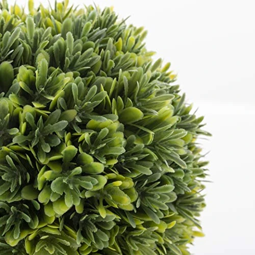 Torre & Tagus 901837 Jardin Topiary Boxwood Ball, 10-Inch 4 Torre & Tagus 901837 Jardin Topiary Boxwood Ball, 10-Inch - Image 4