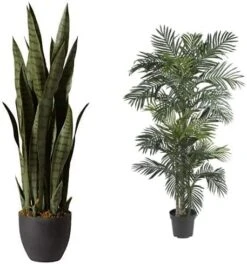 Nearly Natural, Green 4855 35in. Sansevieria With Black Planter & 6ft. Ficus Artificial Trees, 72in, Green -Green Leaf Store 512WPgsKvcL. AC 1