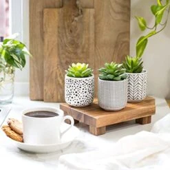 Kurrajong Farmhouse Artificial Succulents In Pots | Set Of 3 Black And White Ceramic Pots With Green Succulents Artificial | Faux Plants Indoor Fake Plants In Pots 4.75" High -Green Leaf Store 512czhT5I3L