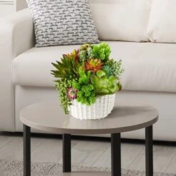 Green Leaf Store -Green Leaf Store 512yVLzQ5tL