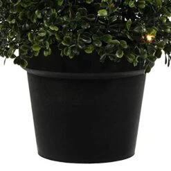 Vickerman Everyday Artificial Pre-Lit Boxwood Topiary Cone 36 Inch Tall - UV Resistant Indoor Outdoor - Potted Natural Green - Faux Tree Decoration Home Patio Entryway 9 Vickerman Everyday Artificial Pre-Lit Boxwood Topiary Cone 36 Inch Tall - UV Resistant Indoor Outdoor - Potted Natural Green - Faux Tree Decoration Home Patio Entryway -Green Leaf Store 5131bEwvejL