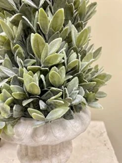 Regency International Flocked Artificial Sage Cone Tabletop Topiary 24" 10 Regency International Flocked Artificial Sage Cone Tabletop Topiary 24" -Green Leaf Store 5134o9eHPvL