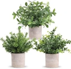 Der Rose 3 Pack Mini Potted Fake Plants Artificial Plastic Eucalyptus Plants For Home Office Desk Farmhouse Room Decor -Green Leaf Store 513Us kBLGL. AC