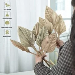 PYSAZI 12 Pcs Natural Dried Palm Leaves Boho Dried Palm Spears Leaves Bulk Small Dried Real Palm Fans Dry Palm Leaves With Stems Dried Leaf Boho Home Décor For Vase Wedding Office Home 43.5*12cm 9 PYSAZI 12 Pcs Natural Dried Palm Leaves Boho Dried Palm Spears Leaves Bulk Small Dried Real Palm Fans Dry Palm Leaves With Stems Dried Leaf Boho Home Décor For Vase Wedding Office Home 43.5*12cm -Green Leaf Store 513b2Bo5daL