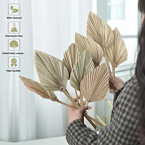 PYSAZI 12 Pcs Natural Dried Palm Leaves Boho Dried Palm Spears Leaves Bulk Small Dried Real Palm Fans Dry Palm Leaves With Stems Dried Leaf Boho Home Décor For Vase Wedding Office Home 43.5*12cm 4 PYSAZI 12 Pcs Natural Dried Palm Leaves Boho Dried Palm Spears Leaves Bulk Small Dried Real Palm Fans Dry Palm Leaves With Stems Dried Leaf Boho Home Décor For Vase Wedding Office Home 43.5*12cm - Image 4