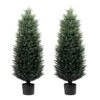 Artificial Topiary Tree 2-Set - Beautiful Realistic Faux Cedar Pines, 4 Feet Tall, UV Protection For Longer Life, Durable 6" Wide Heavy Duty Pots For Outdoor & Indoor Decor -Green Leaf Store 513cZshyQ7L