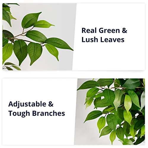 Cozy Castle Artificial Ficus Tree 71in - Faux Indoor Tree For Home Decor, Evergreen 6-Feet Tall Fake Tree Plant, Fake Floor Plant With Sturdy Plastic Nursery Pot For Living Room, Farmhouse, Office 3 Cozy Castle Artificial Ficus Tree 71in - Faux Indoor Tree For Home Decor, Evergreen 6-Feet Tall Fake Tree Plant, Fake Floor Plant With Sturdy Plastic Nursery Pot For Living Room, Farmhouse, Office - Image 3