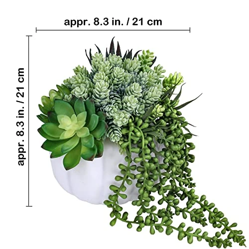 White Fall Pumpkin Centerpiece Artificial Succulent Pumpkin Arrangement With Assorted String Of Pearls Succulents For Fall Thanksgiving Gifts Home Wedding Table Mantel Windowsill Shelf Decor 2 White Fall Pumpkin Centerpiece Artificial Succulent Pumpkin Arrangement With Assorted String Of Pearls Succulents For Fall Thanksgiving Gifts Home Wedding Table Mantel Windowsill Shelf Decor - Image 2