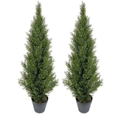 Pre-Potted 4' Artificial Cedar Topiary Outdoor Indoor Tree (Pack Of 2) 1 Pre-Potted 4' Artificial Cedar Topiary Outdoor Indoor Tree (Pack Of 2)