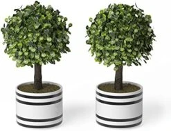 Barnyard Designs Set Of 2 (12.5") Artificial Boxwood Topiary Potted Plant Decorations, Mini Faux Fake Plant Greenery Arrangements In Pots For Office Desk Or Home Decor, 5.5" X 12.5" 15 Barnyard Designs Set Of 2 (12.5") Artificial Boxwood Topiary Potted Plant Decorations, Mini Faux Fake Plant Greenery Arrangements In Pots For Office Desk Or Home Decor, 5.5" X 12.5" -Green Leaf Store 514nHuZuPZL. AC
