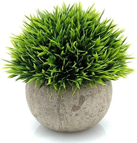 Velener 2Pcs Mini Artificial Boxwood Topiary Faux Plants Indoor- Small Fake Plants Decor Magnolia Home Office Desk Cubicle Farmhouse Kitchen Bookshelf Bedroom Bathroom Decor, Aloe Vera Zen Garden 7 Velener 2Pcs Mini Artificial Boxwood Topiary Faux Plants Indoor- Small Fake Plants Decor Magnolia Home Office Desk Cubicle Farmhouse Kitchen Bookshelf Bedroom Bathroom Decor, Aloe Vera Zen Garden - Image 7