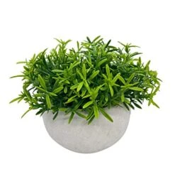 Artificial Mini Potted Plant Decor (Set Of 3) | Green Leaves Set | Fake Plants | Office Decor, Bathroom Decor, Farmhouse Decor, Kitchen Decor | Faux Topiary Decore | Home Decor Clearance 9 Artificial Mini Potted Plant Decor (Set Of 3) | Green Leaves Set | Fake Plants | Office Decor, Bathroom Decor, Farmhouse Decor, Kitchen Decor | Faux Topiary Decore | Home Decor Clearance -Green Leaf Store 5151dmHXDfL