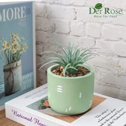 Der Rose 2 Packs Fake Plants Succulents Plants Artificial For Living Room Bedroom Aesthetic Decor -Green Leaf Store 5152cki3ReL