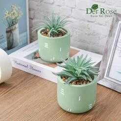 Der Rose 2 Packs Fake Plants Succulents Plants Artificial For Living Room Bedroom Aesthetic Decor -Green Leaf Store 515N2szYw8L