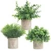 Joyhalo Fake Potted Plants - 3 Pack Artificial Plants In Pots Faux Plants Indoor For Home Room Bedroom Farmhouse Office Desk Decor 16 Joyhalo Fake Potted Plants - 3 Pack Artificial Plants In Pots Faux Plants Indoor For Home Room Bedroom Farmhouse Office Desk Decor -Green Leaf Store 515v3cx8UnL
