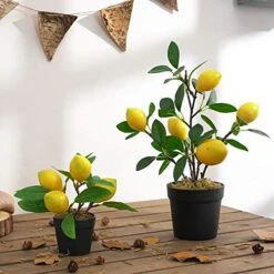 UNIE Artificial Lemon Topiary Mini Tree Potted Fake Plants In Pot For Home Office Decorations 8 UNIE Artificial Lemon Topiary Mini Tree Potted Fake Plants In Pot For Home Office Decorations -Green Leaf Store 515wAEmUWsL