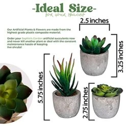 Sophia's Garden Small Artificial Succulents Plants Artificial Potted Fake Plant Decor Bedroom (6 Piece Faux Succulents In Pots 2.3") Fake Succulent Decor Fake Succulents Mini Succulents Desk Office -Green Leaf Store 5166IgaCzoL