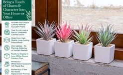 Sunprairie Classic Set Of 4 Faux Succulents 7” Tall In Ivory White Stucco Ceramic Pots-Realistic Multi Colored Artificial Succulents Plants For Home & Office Decor. 7 Sunprairie Classic Set Of 4 Faux Succulents 7” Tall In Ivory White Stucco Ceramic Pots-Realistic Multi Colored Artificial Succulents Plants For Home & Office Decor. -Green Leaf Store 516I7maimSL