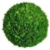 Mills Floral Company Boxwood Ball 8" 19 Mills Floral Company Boxwood Ball 8" -Green Leaf Store 516bRsA983L