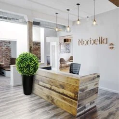 ECOOPTS 15" Artificial Topiary Ball Lifelike Plants Greeny Boxwood Decoration For Home Garden Porch Backyard Wedding Party Indoor Outdoor (1 Piece) -Green Leaf Store 516o6fq6T6L