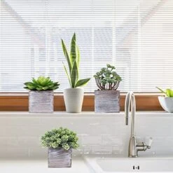 Set Of 3 Assorted Small Potted Succulents Plants Decorations Green Fake Succulents Cacti In Rustic Wooden Pots For Home Living Room Bathroom Table Centerpiece Windowsill Shelf Office Desk Indoor Decor -Green Leaf Store 5175hf1faLL
