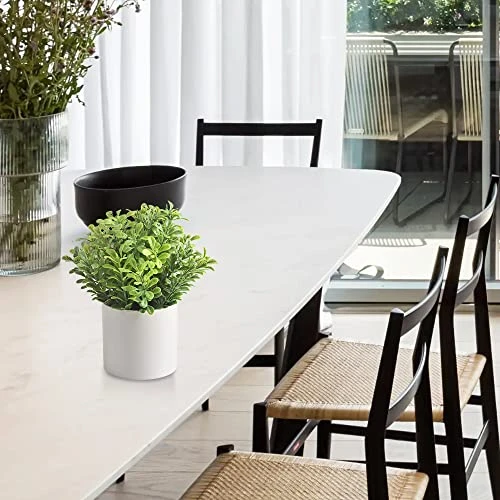 HomEdge Artificial Mini Potted Boxwood, Artificial Plastic Plant Greenery With Pot For Home, Office Desk Decoration 3 HomEdge Artificial Mini Potted Boxwood, Artificial Plastic Plant Greenery With Pot For Home, Office Desk Decoration - Image 3