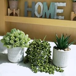 Set Of 3 Assorted Small Potted Succulent Plants Fake Aloe String Of Pearls Hops Succulents In Gray Geometric Concrete Ceramic Pots For Gifts Modern Home Office Desk Table Indoor Outdoor Greenery Decor 10 Set Of 3 Assorted Small Potted Succulent Plants Fake Aloe String Of Pearls Hops Succulents In Gray Geometric Concrete Ceramic Pots For Gifts Modern Home Office Desk Table Indoor Outdoor Greenery Decor -Green Leaf Store 517jSEfQSdL