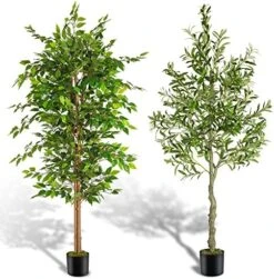 NeuType Artificial Ficus Tree 6FT, 2Packs Fake Ficus Tree Plant With Warm White LED String Lights, Tall Fake Plant Potted Faux Tree Indoor Home Office Decor Floor Plants For Living Room (71 In) -Green Leaf Store 5186dkUXkuL. AC